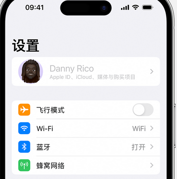 襄阳appleID维修服务iPhone设置中Apple ID显示为灰色无法使用 