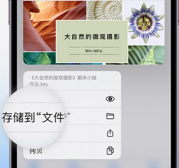 襄阳apple维修中心分享iPhone文件应用中存储和找到下载文件