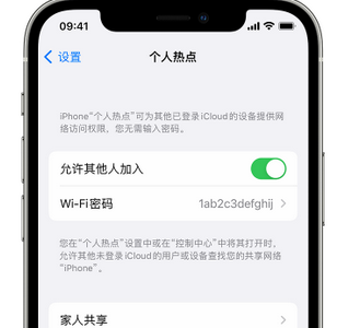 襄阳apple服务站点分享iPhone上个人热点丢失了怎么办 