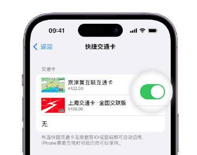 襄阳apple维修点分享iPhone上更换Apple Pay快捷交通卡手绘卡面 