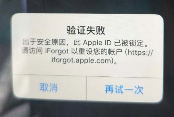 襄阳iPhone维修分享iPhone上正常登录或使用AppleID怎么办 