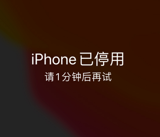 襄阳苹果手机维修分享:iPhone 显示“不可用”或“已停用”怎么办？还能保留数据吗？ 