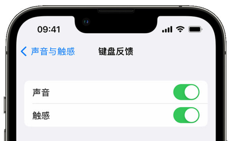 襄阳苹果手机维修分享iPhone 14触感键盘使用方法 