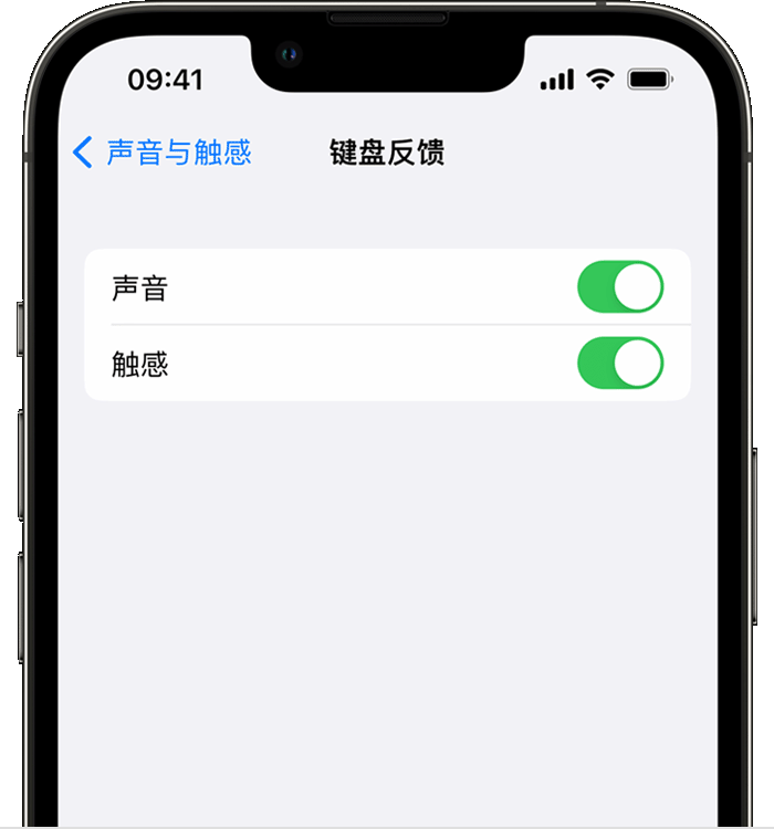 襄阳苹果14维修店分享如何在 iPhone 14 机型中使用触感键盘 