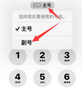 襄阳苹果14维修店分享iPhone 14 Pro Max使用副卡打电话的方法 