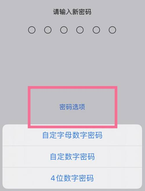 襄阳苹果14维修分享iPhone 14plus设置密码的方法 