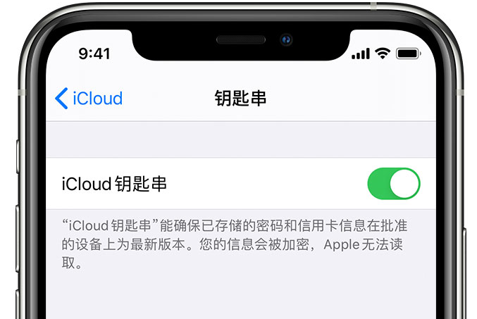 襄阳苹果手机维修分享在 iPhone 上开启 iCloud 钥匙串之后会储存哪些信息 