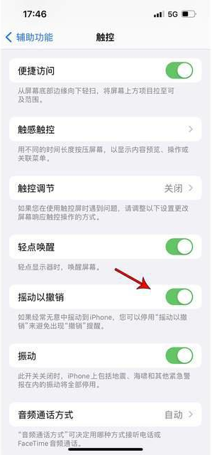 襄阳苹果手机维修分享iPhone手机如何设置摇一摇删除文字 