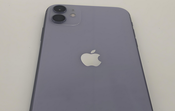 襄阳苹果11系统维修分享iPhone11手机系统崩溃无法开机如何解决